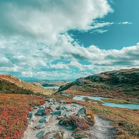 Tatil Evi Charming Overlooking Vegglifjell